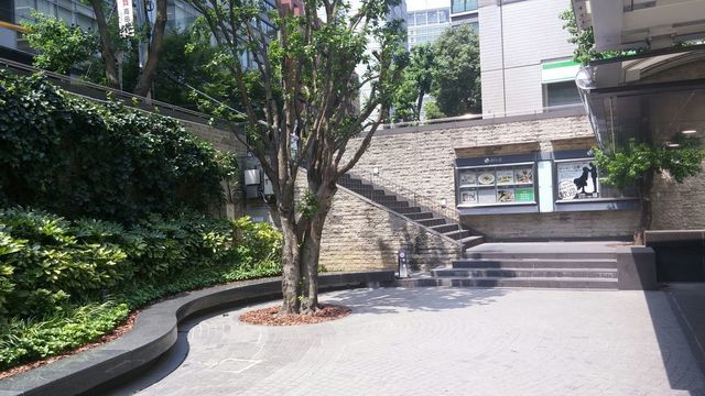 出口先の階段