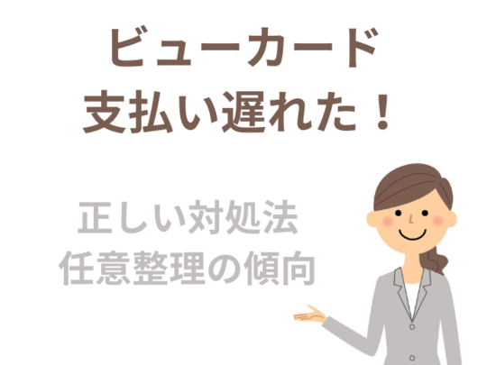 ビューカードの支払い遅れの対応